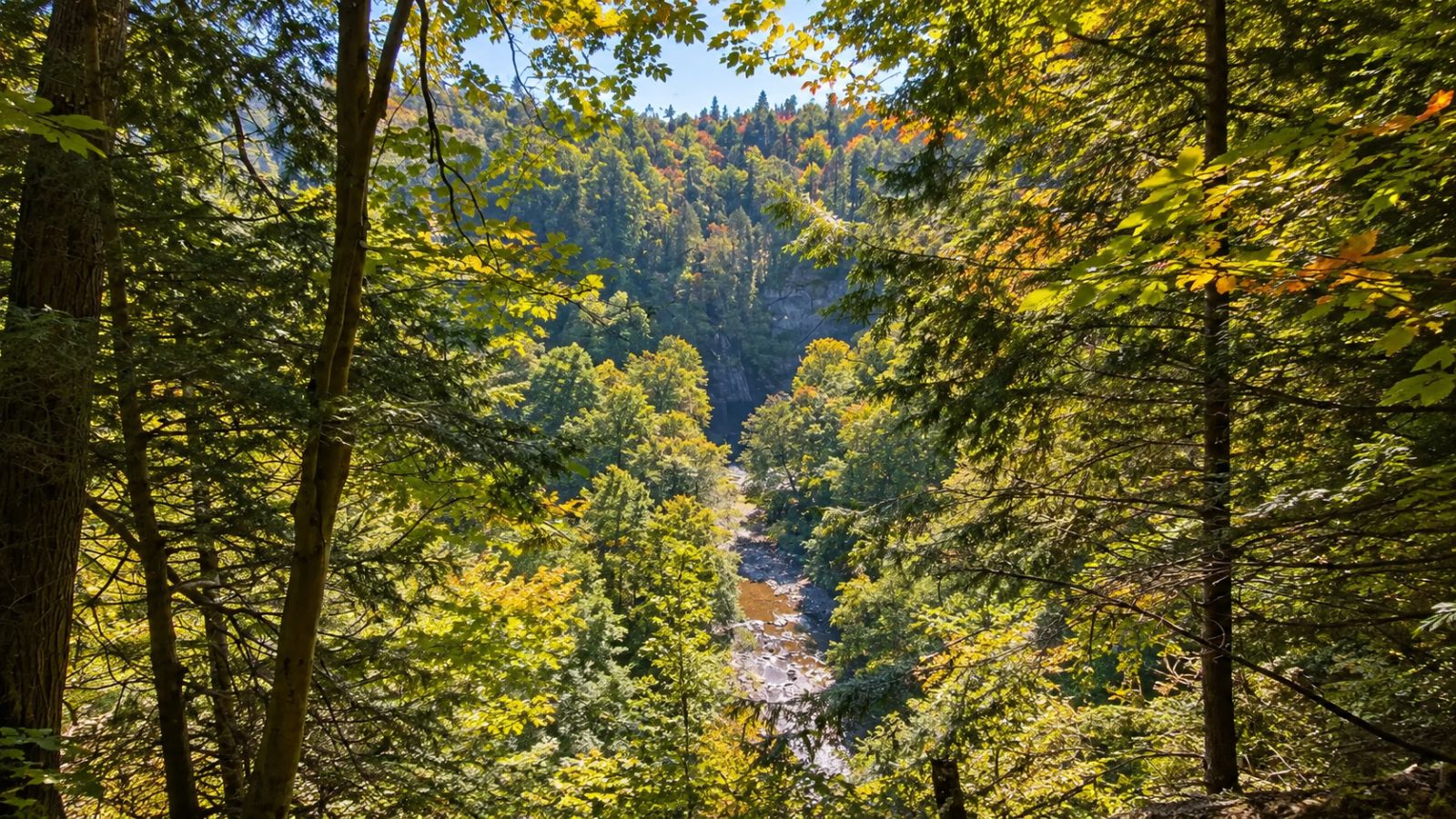 The accessible John Link Trail viewing area over the canyon